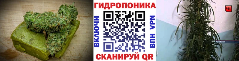Canna-Cookies марихуана Емва